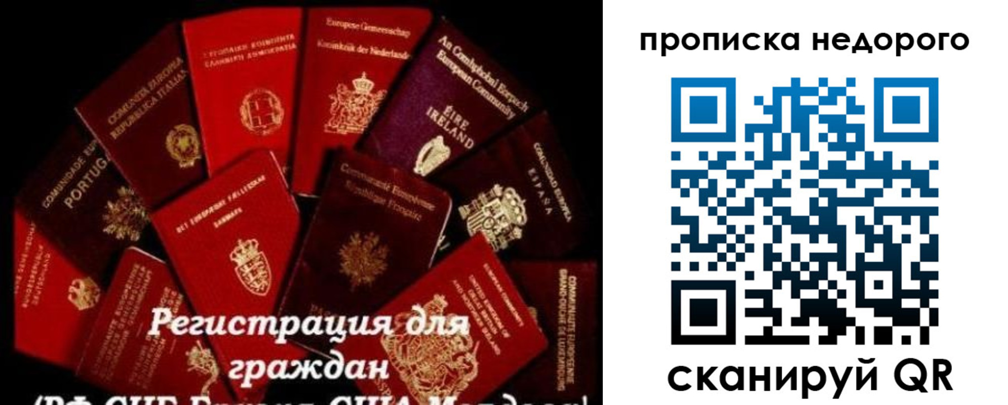 временная регистрация недорого в Райчихинске